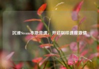 沉浸Steam本地竞速，开启别样速度激情
