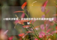 CF随风灵敏度，战场隐形胜负手的具体数值探秘