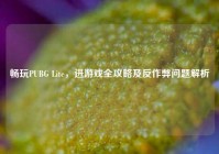 畅玩PUBG Lite，进游戏全攻略及反作弊问题解析