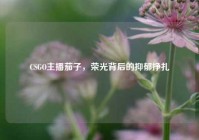 CSGO主播茄子，荣光背后的抑郁挣扎