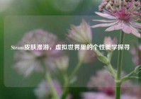 Steam皮肤漫游，虚拟世界里的个性美学探寻
