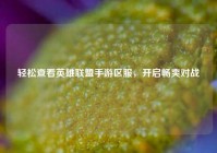 轻松查看英雄联盟手游区服，开启畅爽对战