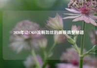 2020年让CSGO流畅如丝的画质调整秘籍