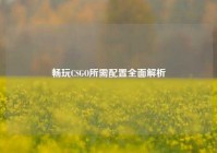畅玩CSGO所需配置全面解析