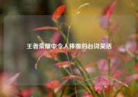 王者荣耀中令人捧腹的台词笑话