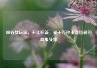 峡谷女玩家，不止标签，是千万种王者热爱的具象头像
