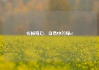 神秘奇幻，自然中的绿cf