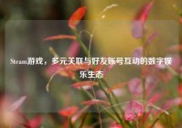 Steam游戏，多元关联与好友账号互动的数字娱乐生态