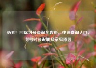 必看！PUBG封号查询全攻略，快速查询入口、封号时长说明及常见原因