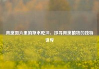 青黛图片里的草木乾坤，探寻青黛植物的独特世界