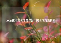 COD16改中文名字及打出中国名字方法指南