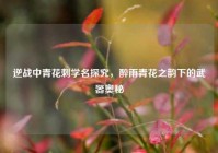 逆战中青花刺学名探究，醉雨青花之韵下的武器奥秘