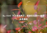 Rua CSGO！不止是揉两下，是刻在玩家DNA里的温柔暴击
