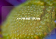 CSGO中亮眼独特的刀光