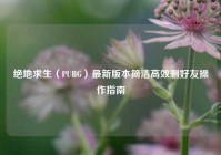 绝地求生（PUBG）最新版本简洁高效删好友操作指南