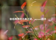 联结两界的不羁之词，wayward选手