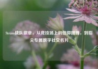 Steam战队徽章，从竞技场上的信仰图腾，到指尖专属数字社交名片