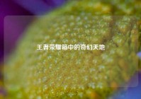 王者荣耀箱中的奇幻天地