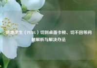 绝地求生（PUBG）切到桌面卡顿、切不回等问题解析与解决办法