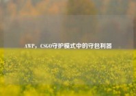 AWP，CSGO守护模式中的守包利器