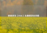 绝地求生（PUBG）头像修改全攻略