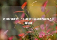 告别按键冲突！PUBG端游/手游通用改键从入门到精通