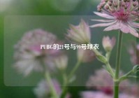 PUBG的21号与99号球衣