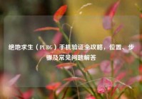 绝地求生（PUBG）手机验证全攻略，位置、步骤及常见问题解答
