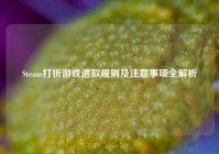 Steam打折游戏退款规则及注意事项全解析