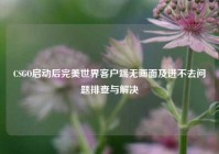CSGO启动后完美世界客户端无画面及进不去问题排查与解决