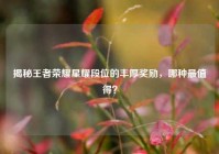 揭秘王者荣耀星耀段位的丰厚奖励，哪种最值得？