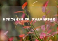 和平精英单排王牌6星局，竞技挑战与获取攻略