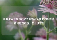 既是王者荣耀峡谷安全感锚点又是生活隐形慰藉的稳定声音，怎么设置？