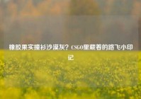 橡胶果实撞衫沙漠灰？CSGO里藏着的路飞小印记