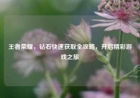 王者荣耀，钻石快速获取全攻略，开启精彩游戏之旅