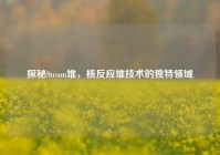 探秘Steam堆，核反应堆技术的独特领域
