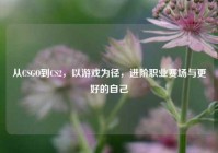 从CSGO到CS2，以游戏为径，进阶职业赛场与更好的自己