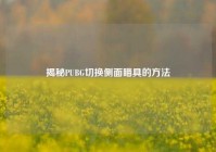 揭秘PUBG切换侧面瞄具的方法