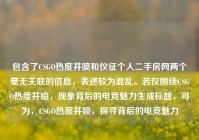包含了CSGO热度井喷和仪征个人二手房网两个毫无关联的信息，表述较为混乱。若仅围绕CSGO热度井喷，现象背后的电竞魅力生成标题，可为，CSGO热度井喷，探寻背后的电竞魅力