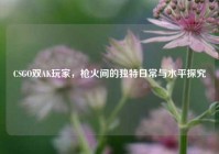 CSGO双AK玩家，枪火间的独特日常与水平探究