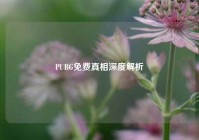 PUBG免费真相深度解析