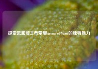 探索欧服版王者荣耀Arena of Valor的独特魅力