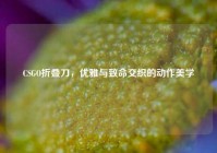 CSGO折叠刀，优雅与致命交织的动作美学