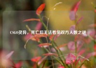 CSGO灵异，死亡后无法看见双方人数之谜