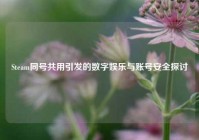 Steam同号共用引发的数字娱乐与账号安全探讨
