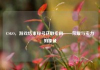 CSGO，游戏结束称号获取指南——荣耀与实力的象征