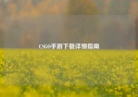 CSGO手游下载详细指南