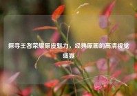 探寻王者荣耀原皮魅力，经典原画的高清视觉盛宴