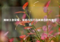 揭秘王者荣耀，策略与技巧完美融合的专属打法