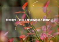 绝地求生（PUBG）中清晰看到人物的方法